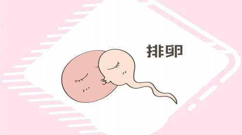 香港孕宝国际怎么样_河南圆梦助孕|海口试管婴儿需要多少费用？