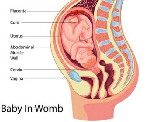 无锡试管代怀专家 无锡陪产假工资发放 ‘刚怀孕20天，男孩女孩分别会有什么