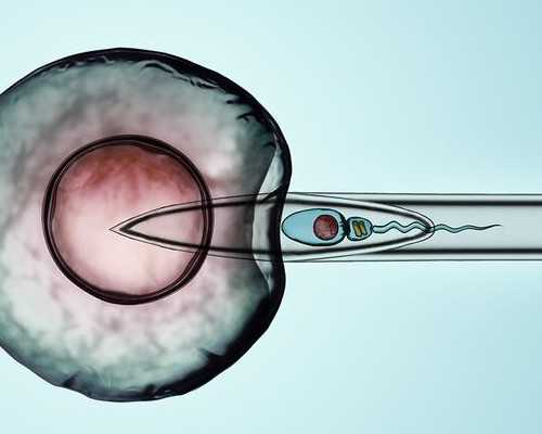 无锡试管代生报价 2026
无锡卵巢早衰做试管包成功医院最新排名。 ‘32周双顶径