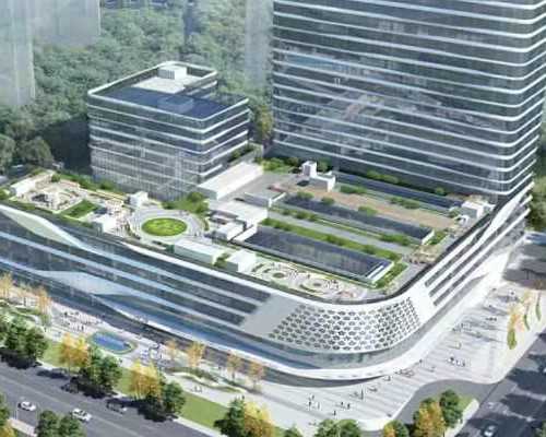 着床失败排出白带什么样(肉眼看到的卵子图片)