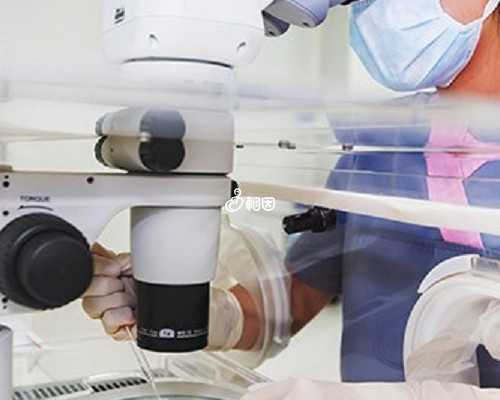 借卵助孕找无锡世纪 无锡四院试管婴儿成功率多少？试管婴儿移植后注意什么