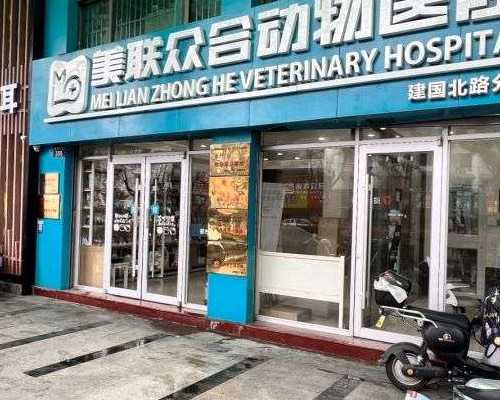 孕早期耻骨疼痛频繁发作及其对生育计划的影响：病因、治疗方法与生育能力因