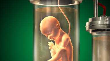 供卵生殖中医院_供卵试管孩子像谁_青岛妇女儿童医院能供卵做第三代试管婴儿